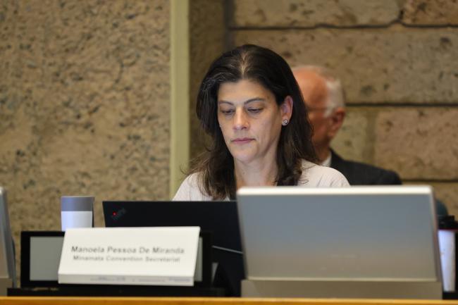 Manoela Pessoa De Miranda, Secretariat of Minamata Convention