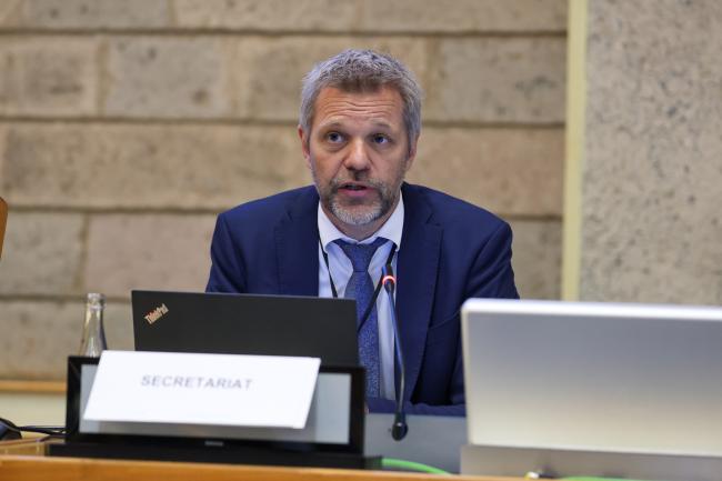Niklas Hagelberg, UNEP