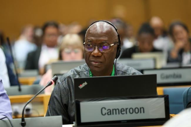 Rigobert Ntep, Cameroon
