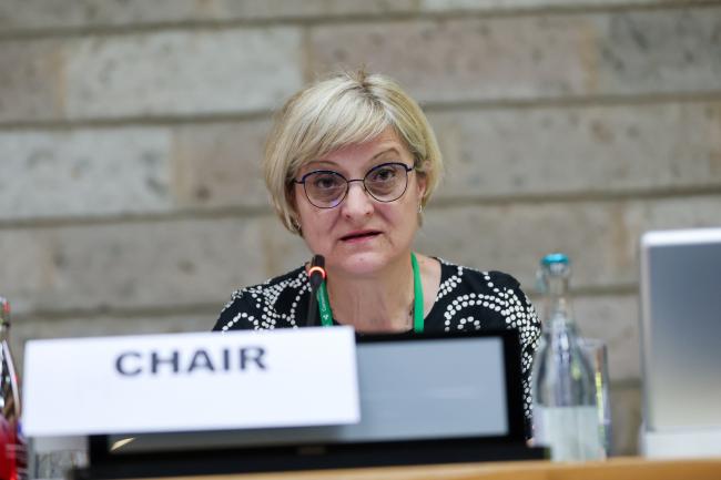 SBSTTA Chair Senka Barudanović, Bosnia and Herzegovina
