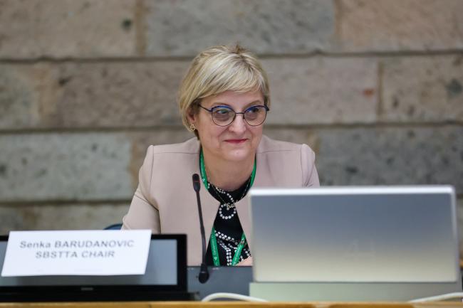 SBSTTA Chair Senka Barudanović, Bosnia and Herzegovina
