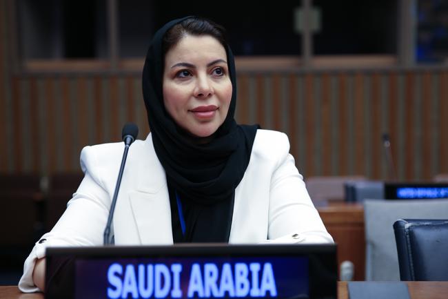 Saudi Arabia - UNFF19 - 8May2024