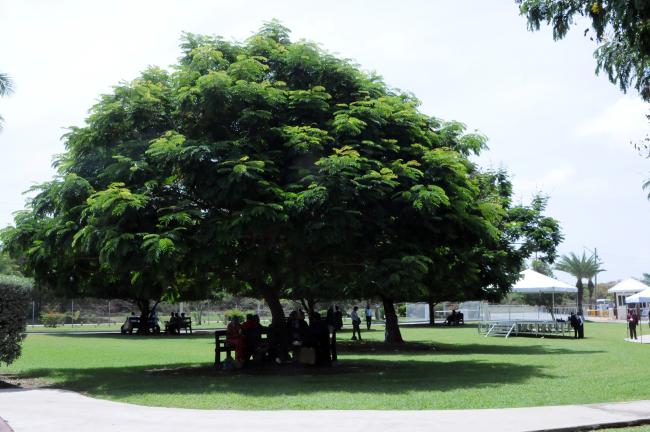 Participants find a shade spot at hot St. Johns