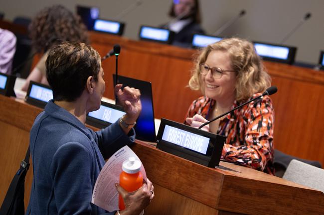 Sheam Satkuru, ITTO Executive Director, and Theresa Loeffler, FAO - UNFF19 - 7May2024