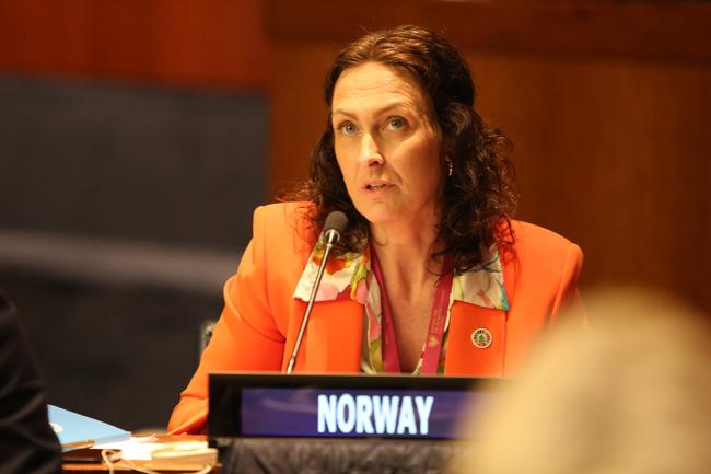 State Secretary Wenche Westberg - UNFF19 - 9May2024