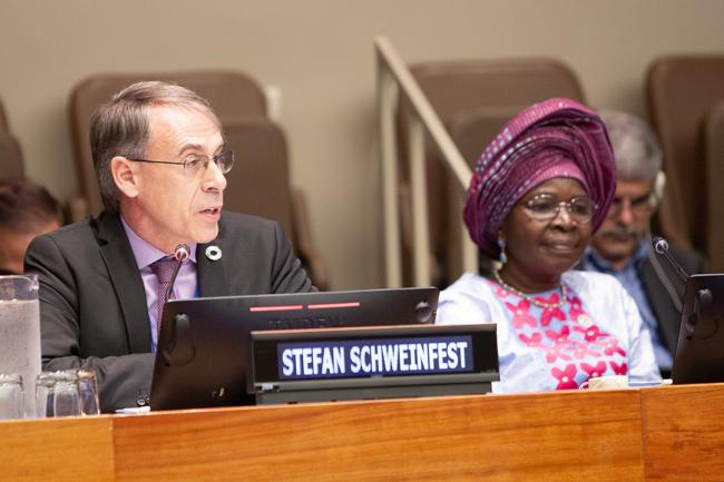 Stefan Schweinfest, Director of the UN Statistics Division - UNFF19 - 6May2024