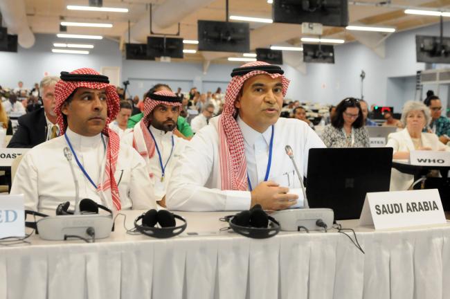 The delegation from Saudi Arabia