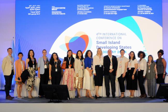 Members of the Secretariat of the UN Department of Economic and Social Affairs (DESA)