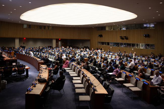 View if Afternoon Plenary - UNFF19 - 8May2024