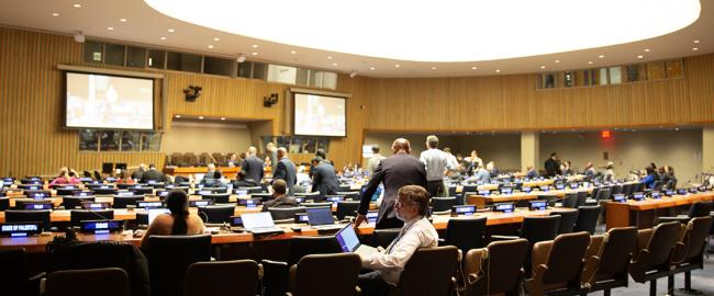 View of the room - UNFF19 - 7May2024