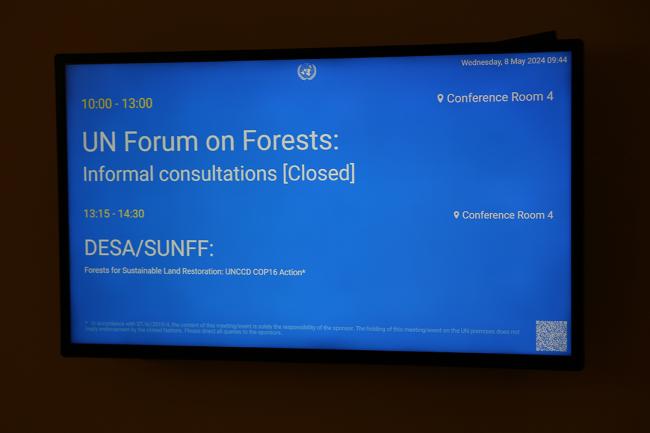 informal consultations - UNFF19 - 8May2024