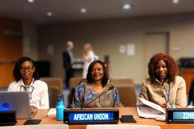 African delegates