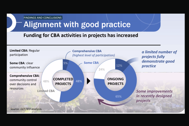 Alignment with good practice - GEF67Council_GEF_CSO_Consultation-14June2024