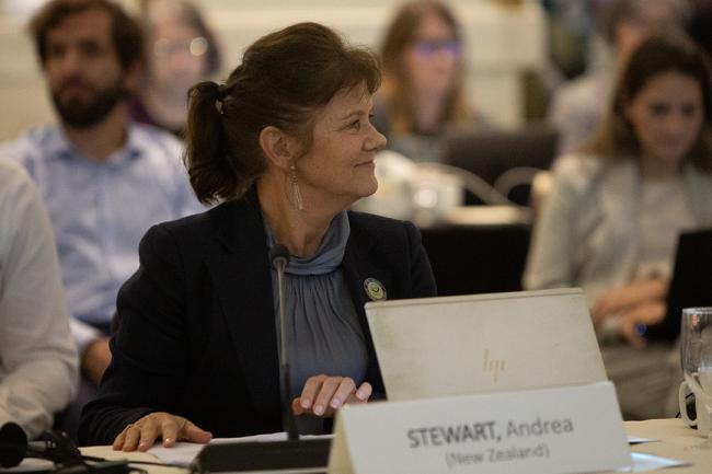 Andrea Stewart, Council Member, New Zealand - GEF67 - 17June2024