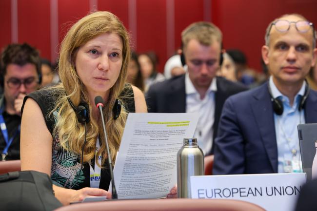 Ann De Jonghe, Belgium, on behallf of Western Europe and Other Groups 