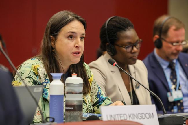 Katherine Olley, United Kingdom, reporting back to plenary from the Contact Group on Technical Matters  