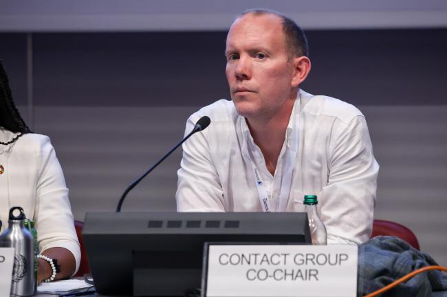 Co-Chairs of the Contact Group on Strategic Matters Ole Thomas Thommesen, Norway 