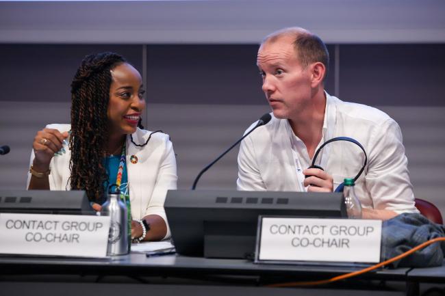 Co-Chairs of the Contact Group on Strategic Matters Keima Gardiner, Trinidad and Tobago, and Ole Thomas Thommesen, Norway 