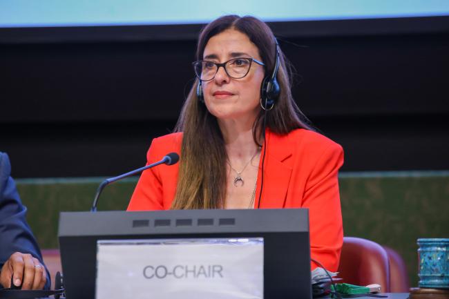 OEWG Co-Chair Judith Torres, Uruguay