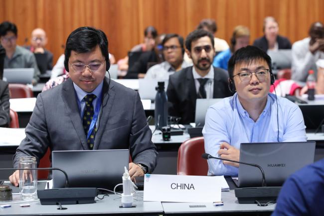 Delegates from China