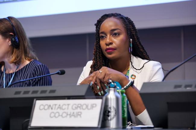Co-Chair of the Contact Group on Strategic Matters Keima Gardiner, Trinidad and Tobago