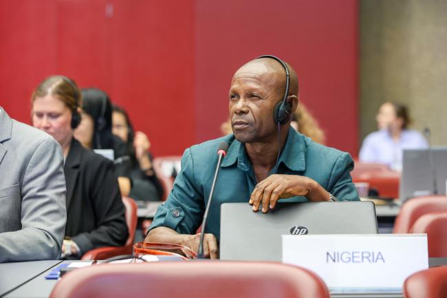 Livinus Nnamdi Nwankwo, Nigeria