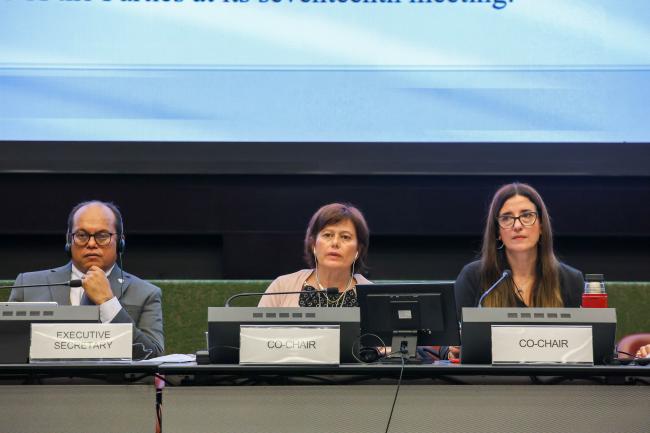   Rolph Payet, Executive Secretary, Basel, Rotterdam and Stockholm (BRS) Conventions, OEWG Co-Chair Lendita Dika, North Macedonia, and OEWG Co-Chair Judith Torres, Uruguay 