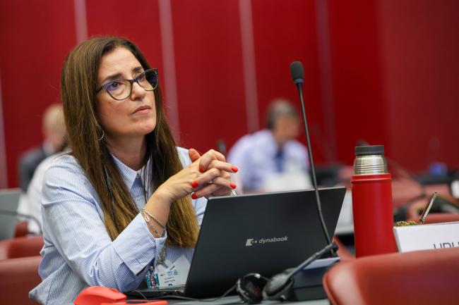 OEWG Co-Chair Judith Torres, Uruguay