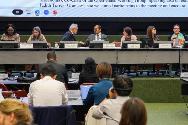 View of the dais during the afternoon session