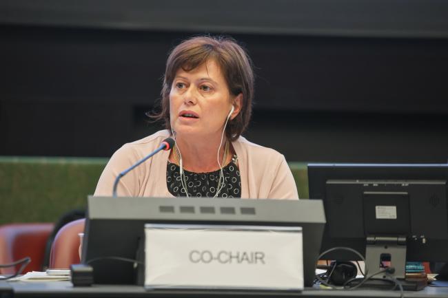 OEWG Co-Chair Lendita Dika, North Macedonia 