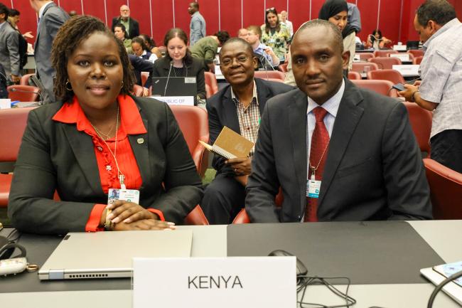 Delegates from Kenya