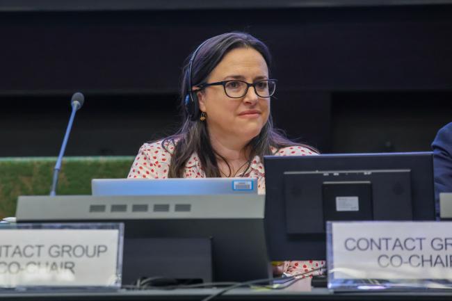  Share this page:      Twitter     Facebook  Co-Chair of the Contact Group on Technical Matters Nawaf Bilasi, Saudi Arabia  Co-Chair of the Contact Group on Technical Matters Katherine Olley, United Kingdom