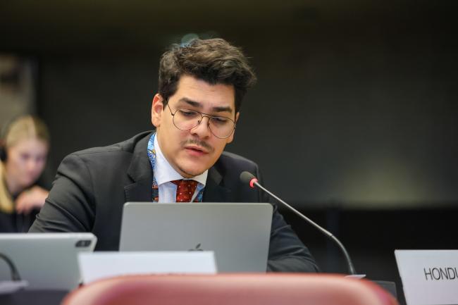Eduardo Campo Navas, Honduras, on behalf of GRULAC