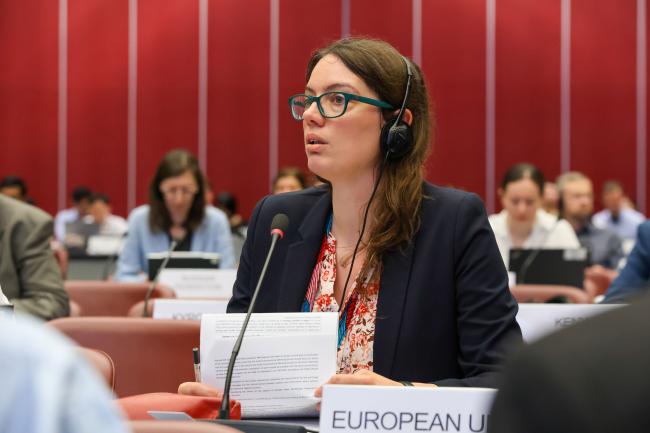 Leen Chanet, Belgium, on behalf of th EU