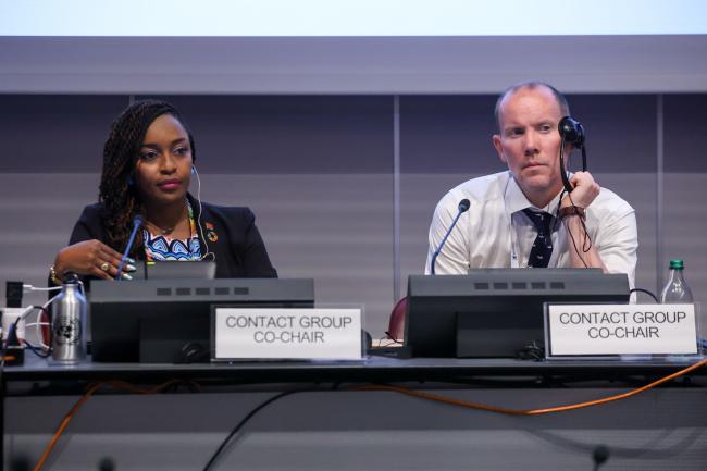  Keima Gardiner, Trinidad and Tobago, and Ole Thomas Thommesen, Norway, Co-Chairs of the Contacr Group on strategic matters 