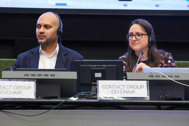 Contact Group on technical matters Co-Chairs Nawaf Bilasi, Saudi Arabia, and Katherine Olley, United Kingdom 