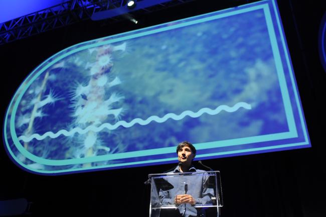 Daniel Cáceres Bartra, Sustainable Ocean Alliance (SOA)
