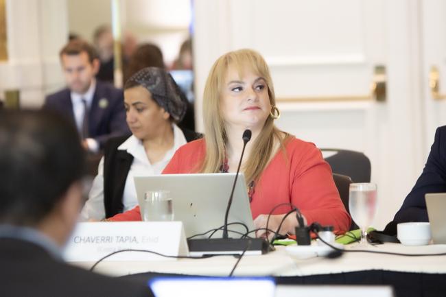 Enid Chaverri Tapia, Alternate Council Member, Mexico - GEF67 - 19June2024