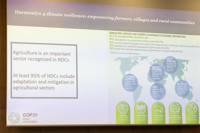 IISD-ENB_SideEvent1_Harmonia 4 climate resilience _4Jun24-KiaraWorth-12