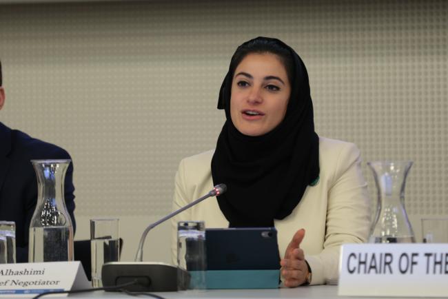 Hana Al-Hashimi, COP 28 Presidency