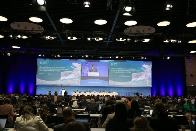 Open-ended informal consultations are held by the COP 29 Presidency on the vision and expectations for COP 29 