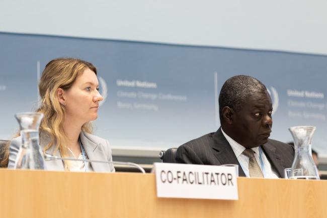 Co-Facilitators for the Global Goal on Adaptation Tina Kobilsek, Slovenia, and Pedro Pedroso, Cuba