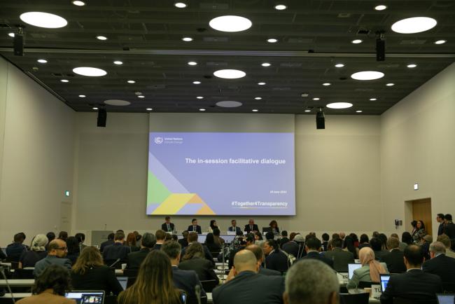 Delegates gather for the facilitative dialogue on sharing of experience in managing data for enhancing capacity and systems to implement the ETF 