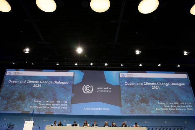 View of the dais during the Ocean and Climate Change Dialogue