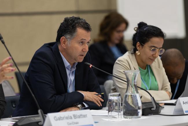 Sharm el-Sheikh Dialogue Co-Chair Mohamed Nasr, Egypt