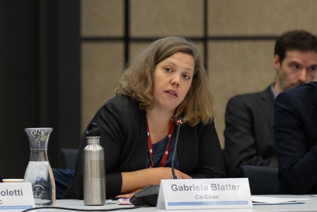 Sharm el-Sheikh Dialogue Co-Chair Gabriela Blatter, Switzerland