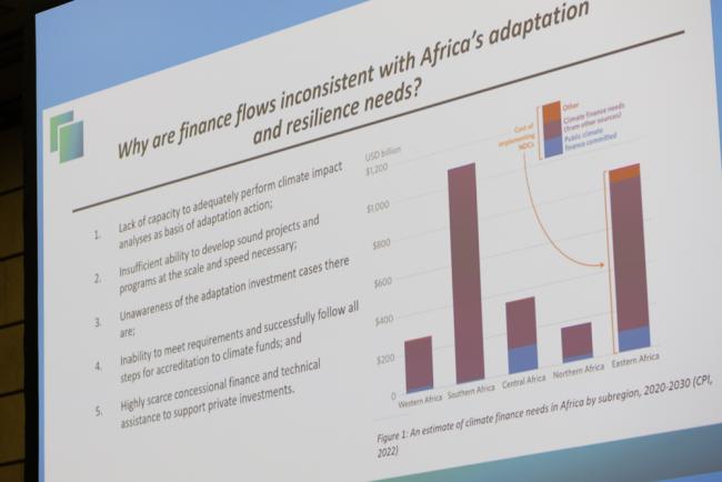 A slide highlights the challenges of financial flows in Africa