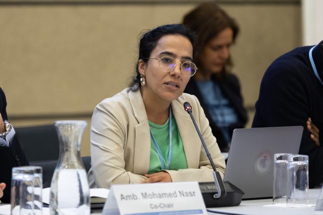 Maitha Alkaabi, COP28 Presidency
