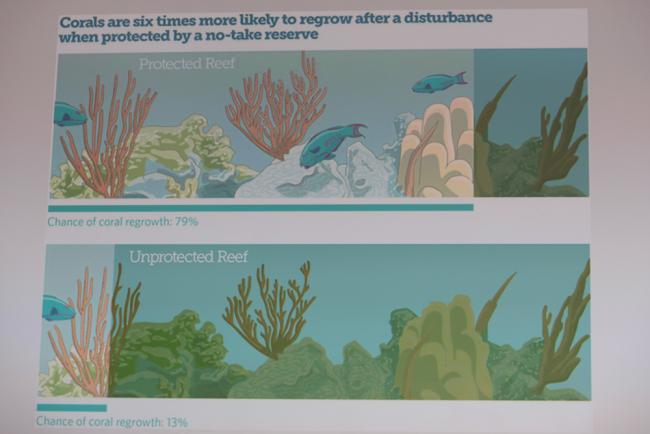 A slide highlights the importance of protecting corals