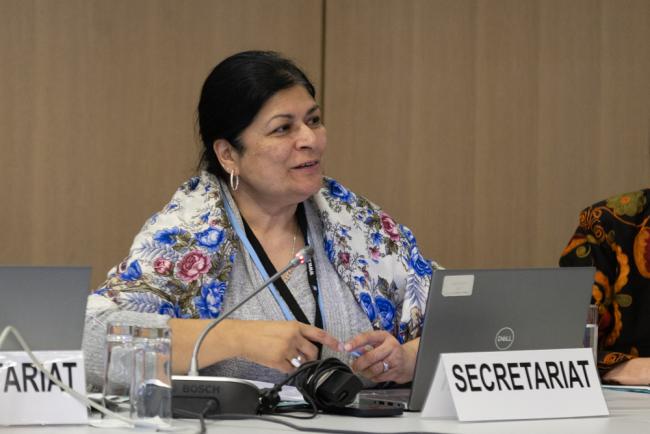 Chhaya Kapilashrami, Senior Director, UNFCCC